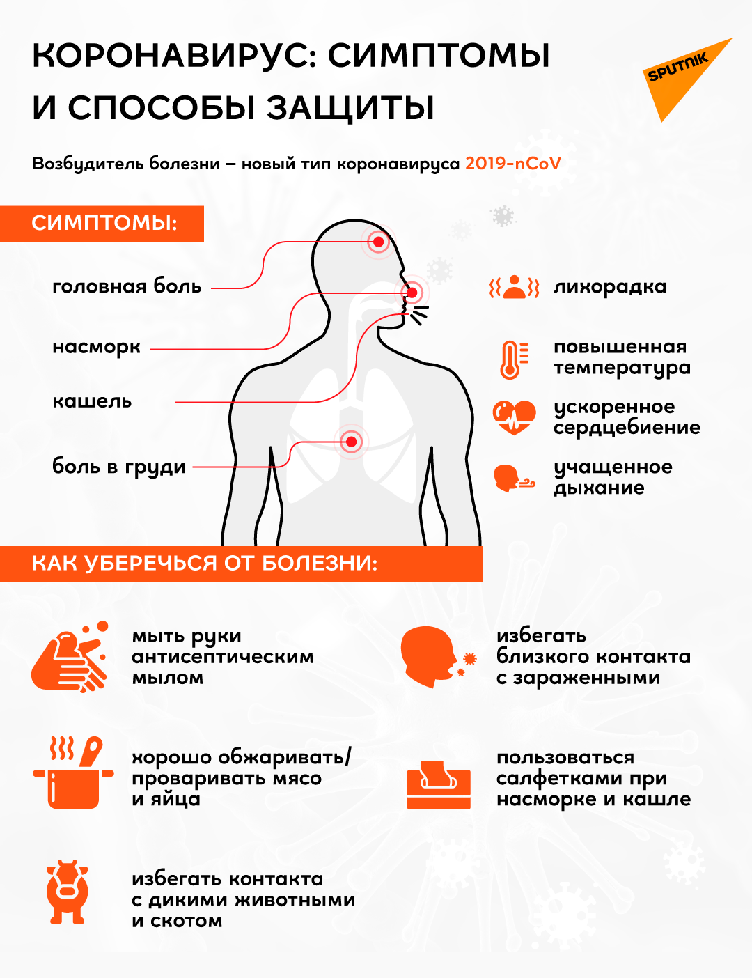 Коронавирус: симптомы и защита от него - Sputnik Армения