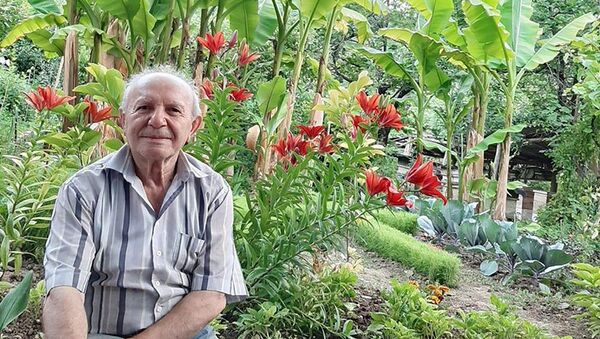 Житель села Айгедзор Тавушской области Мелс Бабаян в своем саду - Sputnik Արմենիա