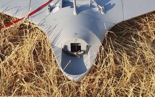 Ադրբեջանական ORBITER-3 տիպի անօդաչու թռչող սարքը - Sputnik Արմենիա