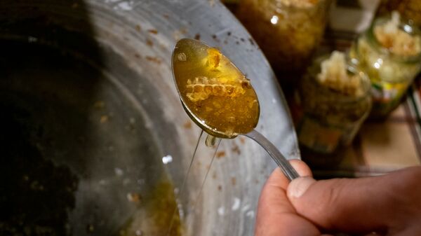 Пчелиный воск с медом в ложке - Sputnik Արմենիա