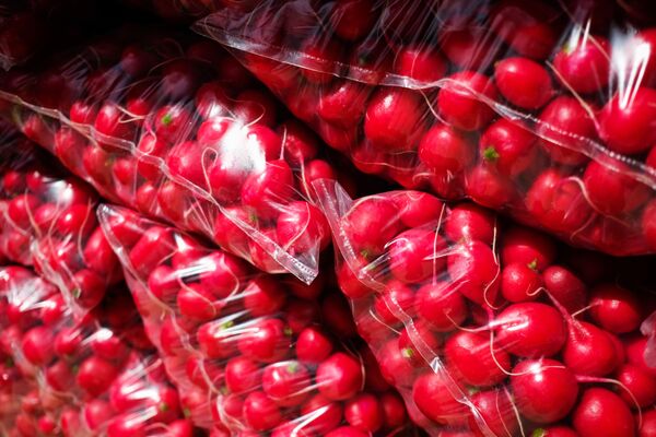 Что происходит с организмом, когда вы едите редиску? Что происходит с организмом, когда вы едите редиску? - Sputnik Армения