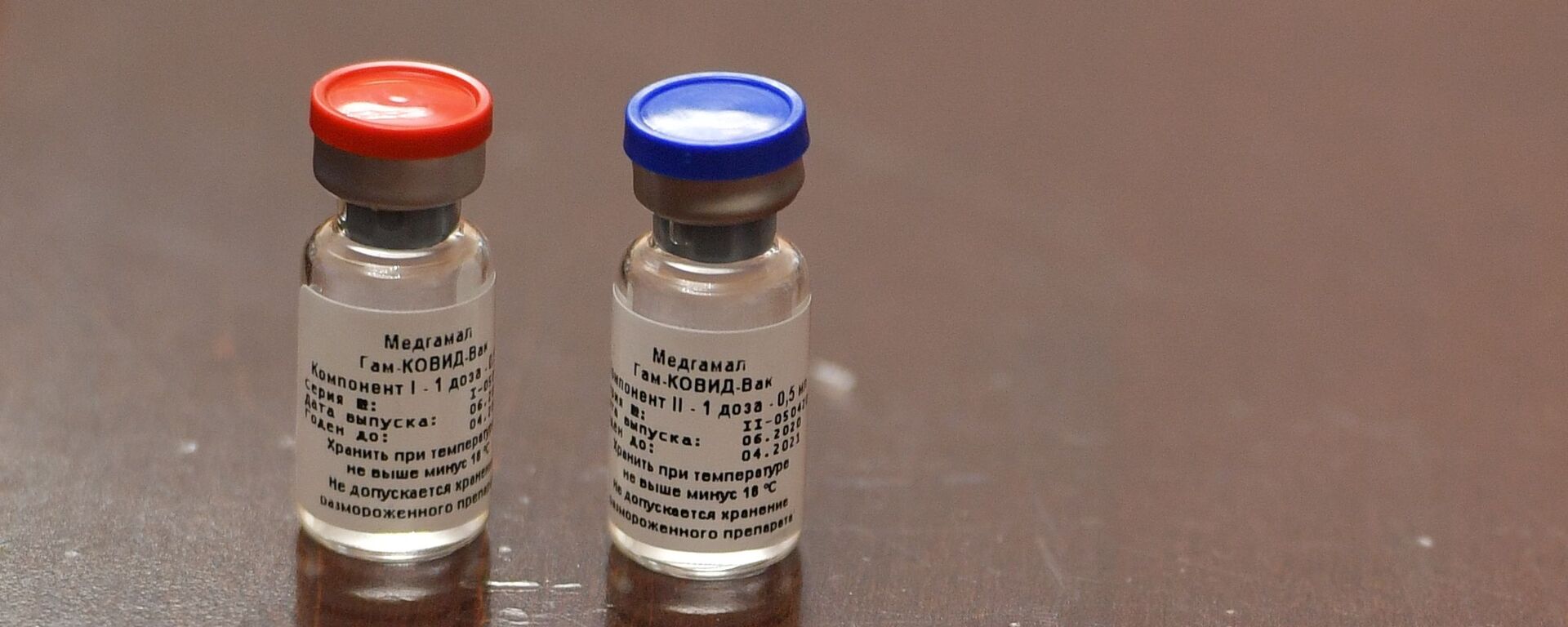 Брифинг, посвященный первой в мире зарегистрированной вакцине от COVID-19 - Sputnik Армения, 1920, 11.12.2020