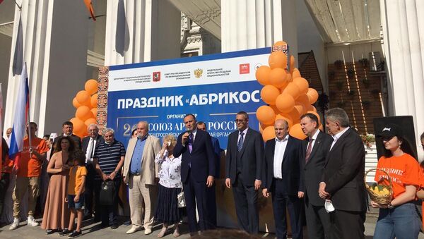 Ежегодный многонациональный праздник «Абрикос» (21 августа 2020). Москва - Sputnik Արմենիա