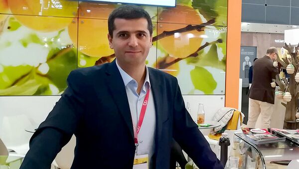 Эмиль Степанян, основатель экспертного  Facebook-сообщества Export Armenia - Sputnik Армения