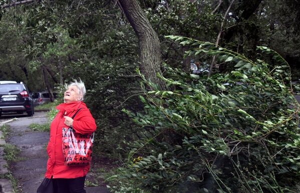 Женщина около поваленных деревьев на Камском переулке после урагана во Владивостоке - Sputnik Армения