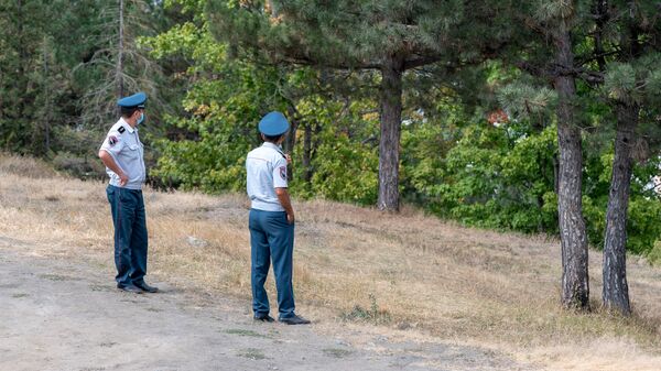 Полицейские в парке города Берд - Sputnik Армения