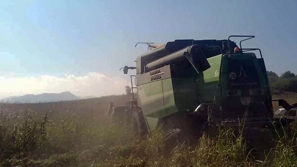 В Карабахе продолжаются работы по сбору урожая кукурузы и подсолнечника - Sputnik Армения
