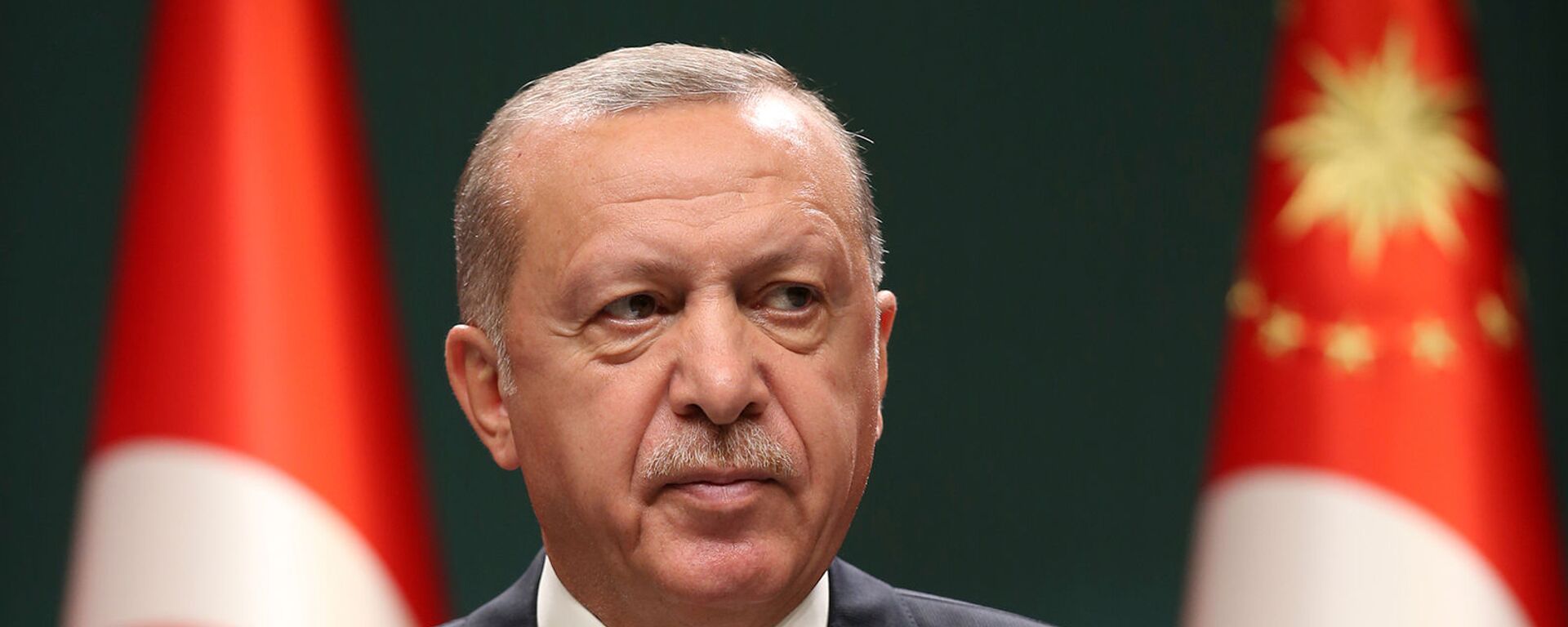 Президент Турции Реджеп Тайип Эрдоган выступает на  заседании кабинета министров в Анкаре (10 августа 2020). Турция - Sputnik Армения, 1920, 11.06.2021