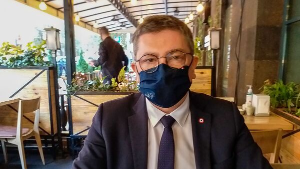 Депутат парламента Франции Жан-Мишель Мис - Sputnik Армения