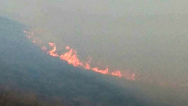 Пожары в лесных районах Карабаха после обстрелов ВС Азербайджана - Sputnik Армения