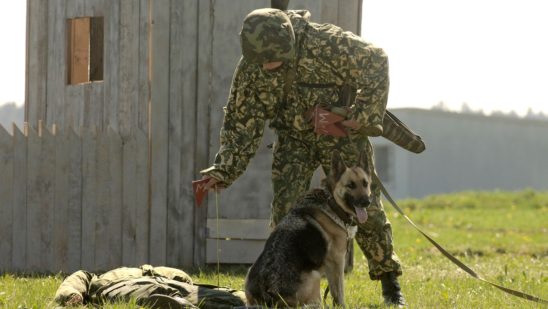 Сапер со служебной собакой во время показных боевых занятий - Sputnik Արմենիա, 1920, 30.04.2021