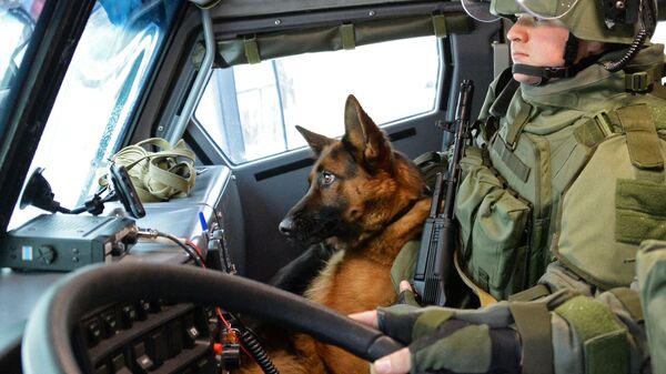 Военнослужащий и собака минно-розыскного расчета инженерных войск Вооруженных Сил РФ  - Sputnik Армения