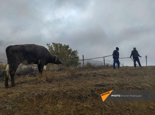 Дом там, где мы: Новая Марага, день последний Дом там, где мы: Новая Марага, день последний - Sputnik Армения