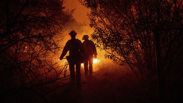 Пожарные борются с лесным пожаром в округе Ориндж, Калифорния - Sputnik Армения