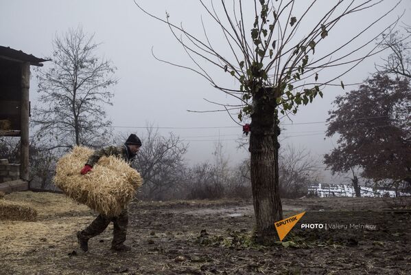 Արցախի Մարտունու շրջանի Թաղավարդ գյուղում տղամարդը տեղափոխում է չոր խոտը - Sputnik Արմենիա