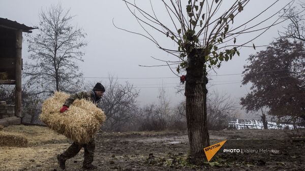 Արցախի Մարտունու շրջանի Թաղավարդ գյուղում տղամարդը տեղափոխում է չոր խոտը - Sputnik Արմենիա