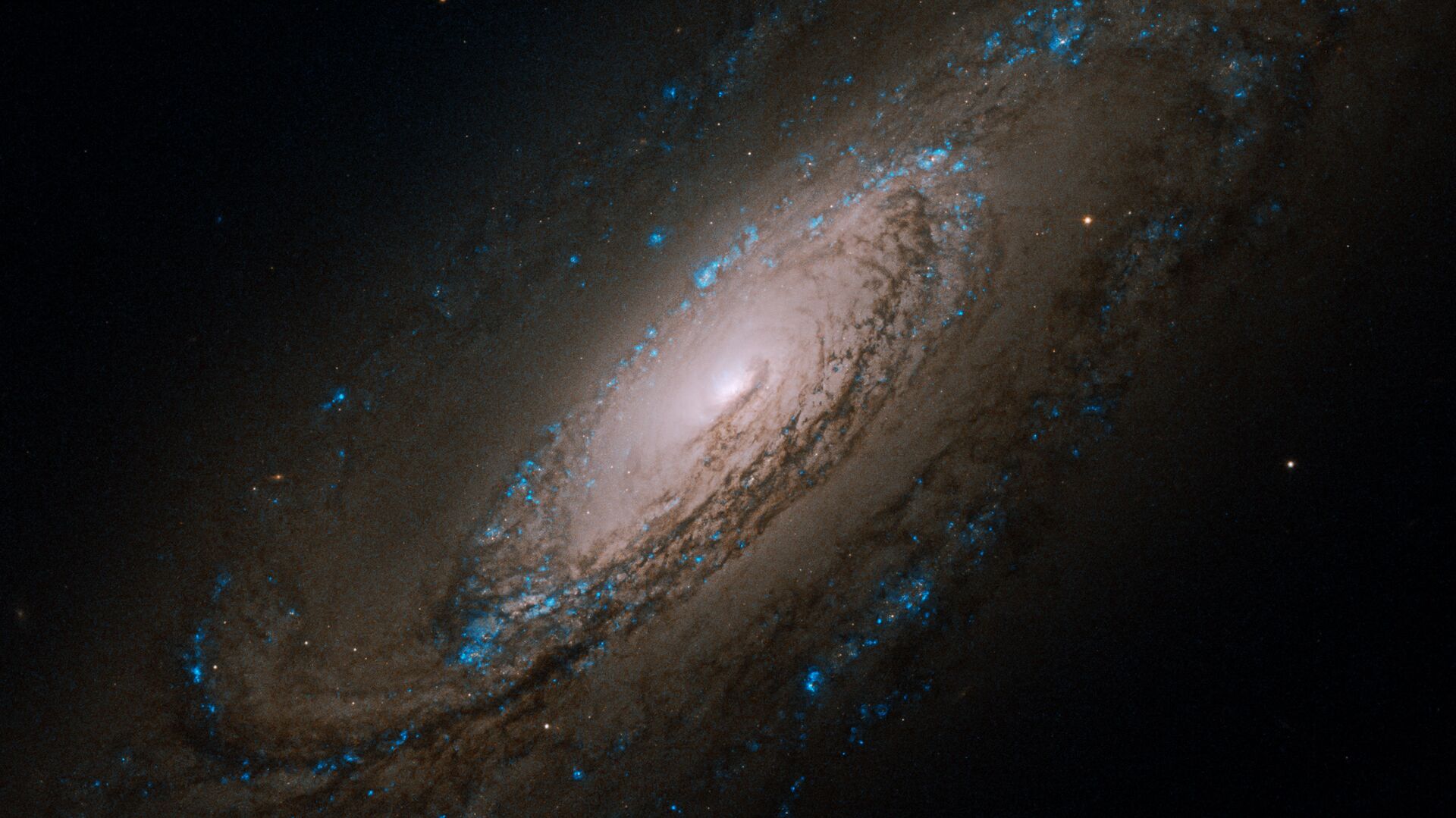 Галактика NGC 5005 в созвездии Гончие Псы - Sputnik Армения, 1920, 15.07.2023