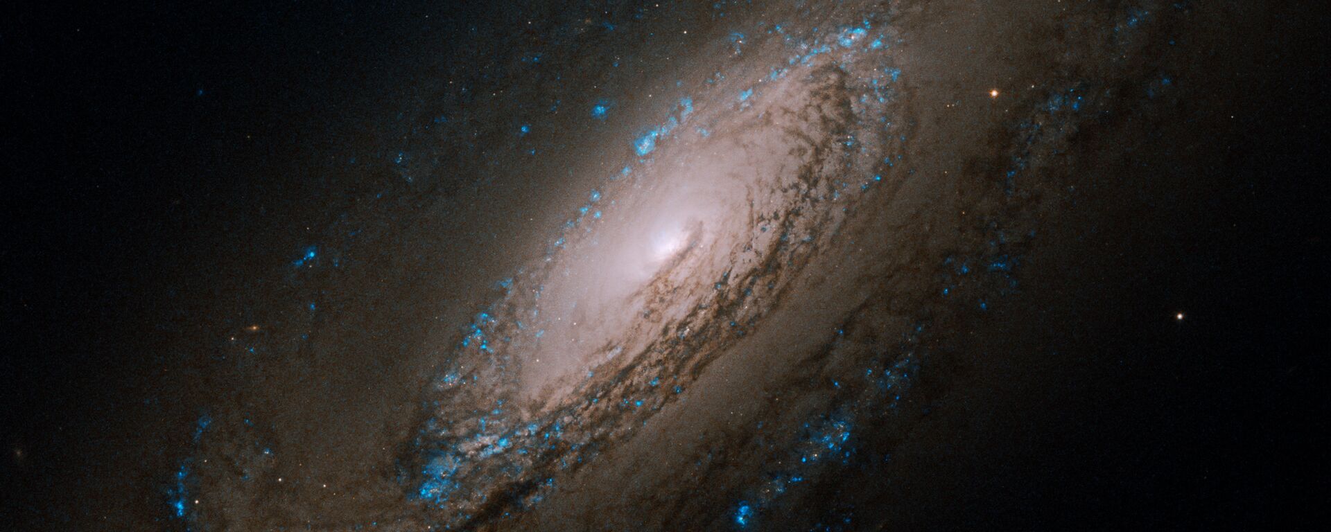 Галактика NGC 5005 в созвездии Гончие Псы - Sputnik Армения, 1920, 14.01.2022