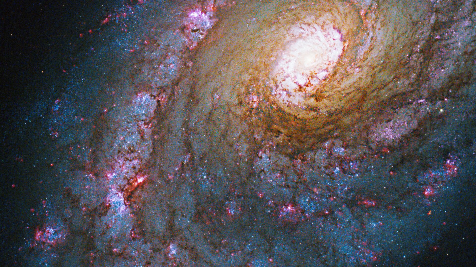 Галактика NGC 5248 в созвездии Волопас - Sputnik Армения, 1920, 20.06.2023