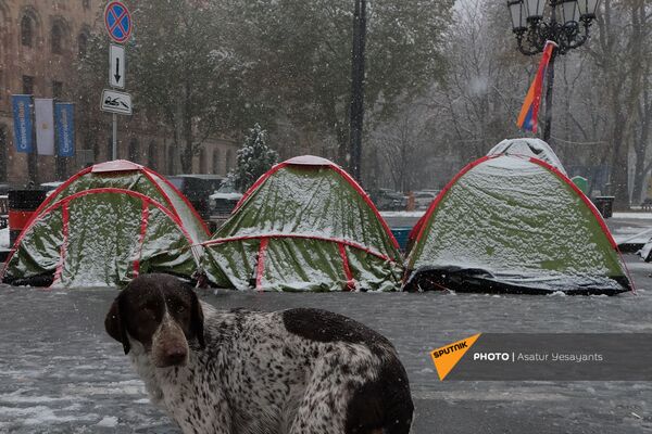 Протестующие на площади Республики в Ереване (23 декабря 2020). Еревaн Протестующие на площади Республики в Ереване (23 декабря 2020). Еревaн - Sputnik Армения