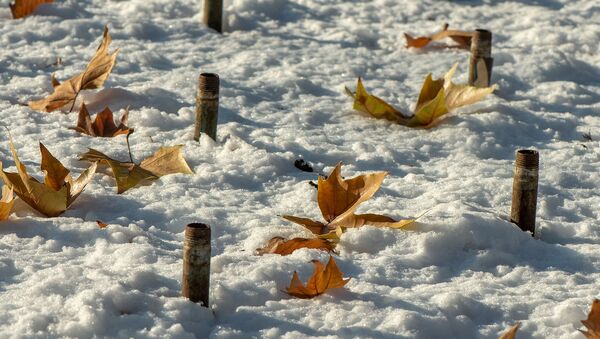 Опавшие листья на снегу - Sputnik Արմենիա