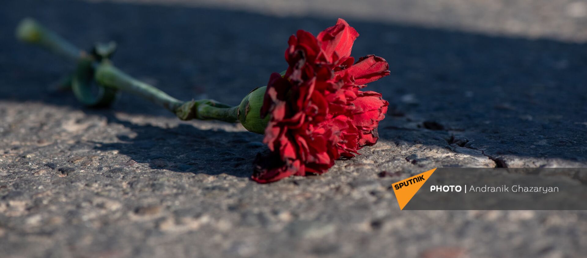 Цветок на асфальте во время Шествия памяти в Ераблур (19 декабря 2020). Еревaн - Sputnik Արմենիա, 1920, 14.01.2021