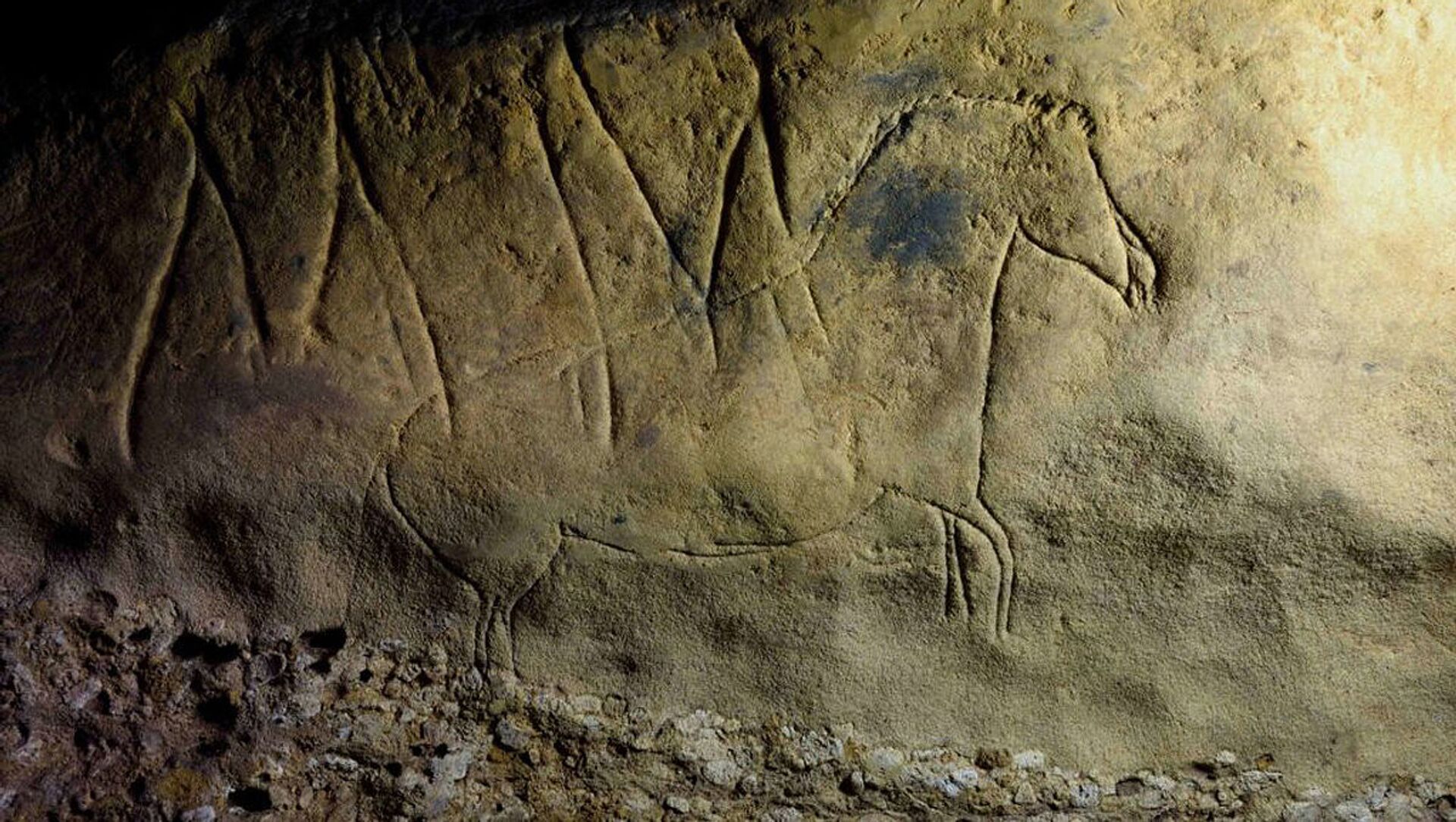 Настенные рисунки в пещере Фонт-Мажор в Испании  - Sputnik Армения, 1920, 02.07.2021