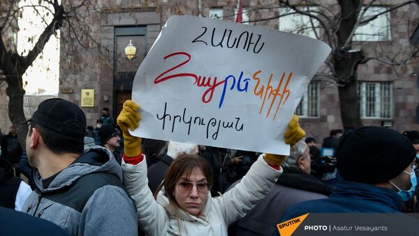Женщина с плакатом на акции протеста оппозиции (29 декабря 2020). Еревaн - Sputnik Армения
