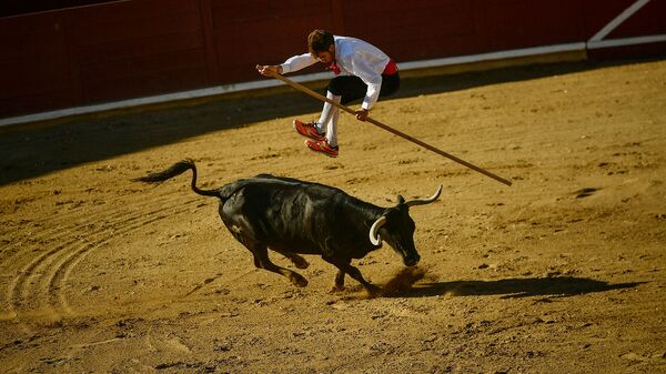 Участник Корриды Гойя в Северной Испании перепрыгивает через быка - Sputnik Армения