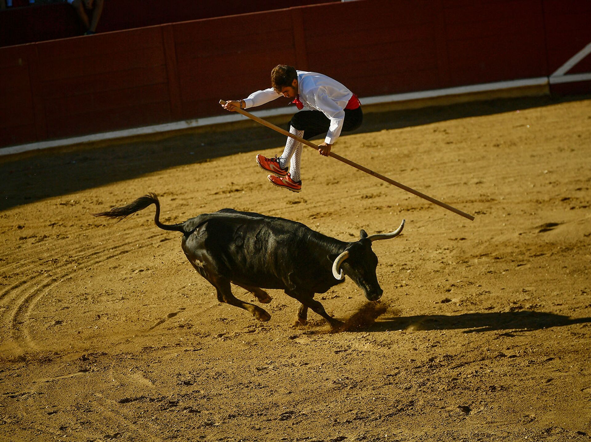 Мягкая музыкальная игрушка бык. Музыка бык. Испания коррида тореадор. Испания коррида тореадор. Родео на быках красиво.