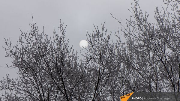 Покрытые инеем деревья - Sputnik Армения