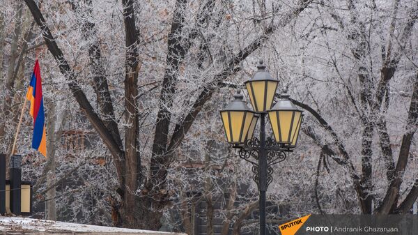 Покрытые инеем деревья - Sputnik Армения
