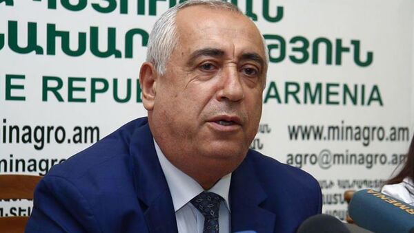 Заместитель министра сельского хозяйства Самвел Галстян во время пресс-конференции (15 июля 2015). Еревaн - Sputnik Армения