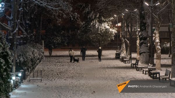 Горожане гуляют в парке в зимний вечер - Sputnik Армения