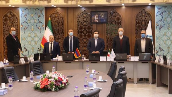Делегация во главе с министром экономики Ваганом Керобяном на встрече с представителями деловых кругов Ирана (25 января 2021). Исфахан - Sputnik Արմենիա