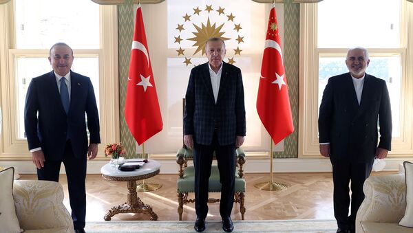 Президент Турции Тайип Эрдоган в сопровождении министра иностранных дел Мевлюта Чавушоглу встретился с министром иностранных дел Ирана Джавадом Зарифом (29 января 2021). Стамбул - Sputnik Արմենիա
