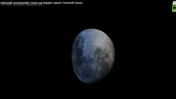 Российский космонавт наглядно показал, как сплющивается Луна - Sputnik Армения