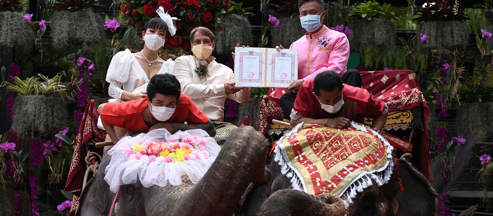Пара получает свидетельство о браке от провинциального чиновника во время прогулки на слонах во время празднования Дня Святого Валентина в Таиланде - Sputnik Արմենիա, 1920, 14.02.2021