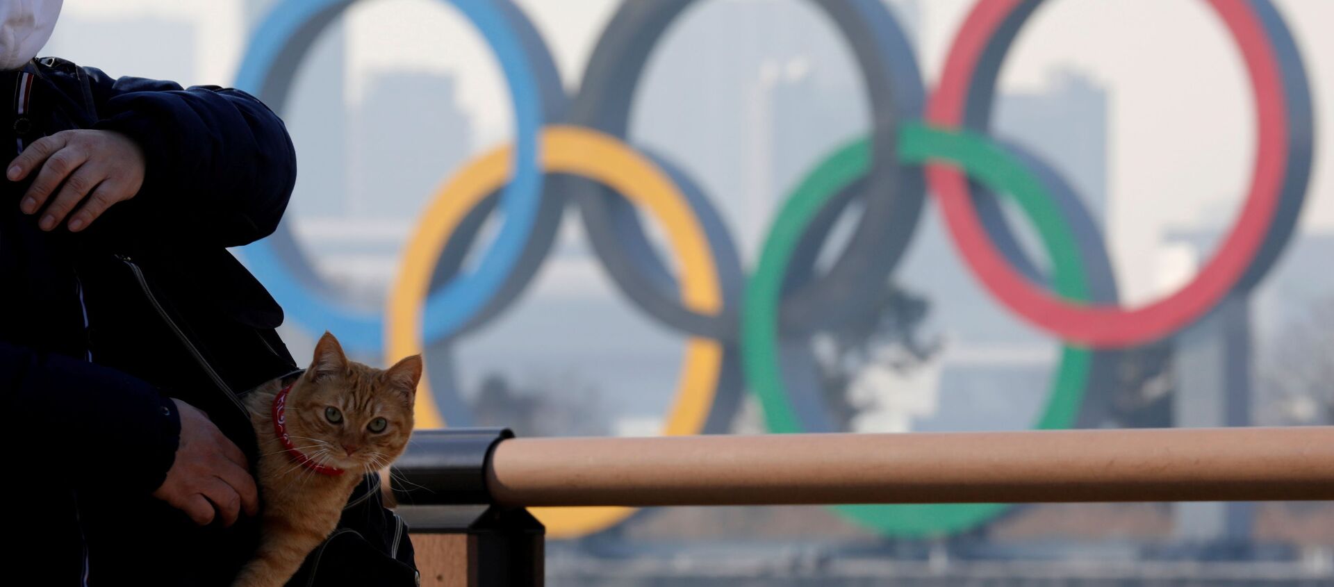 Мужчина с котом в сумке на фоне олимпийских колец в Токио - Sputnik Армения, 1920, 16.02.2021