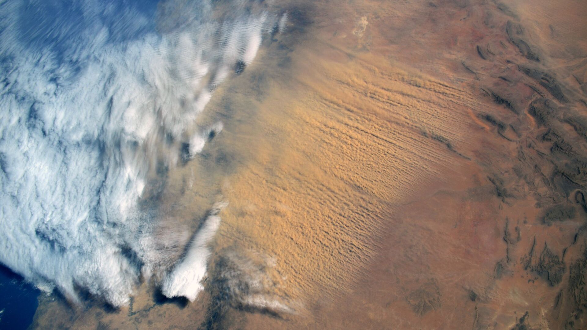 Песчаная буря, идущая из пустыни Сахара, снятая российским космонавтом Сергеем Кудь-Сверчковым с МКС - Sputnik Армения, 1920, 12.05.2022