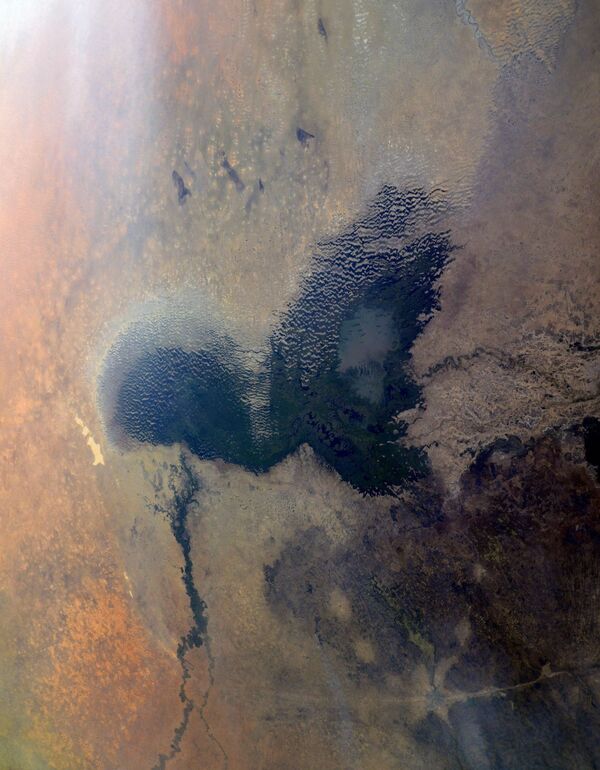 Африканское озеро Чад - Sputnik Армения