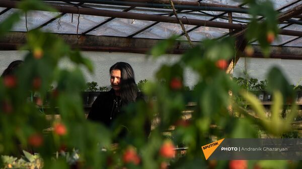 Цветочница Карине Товмасян во время беседы с корреспондентом Sputnik Армения в теплице - Sputnik Армения