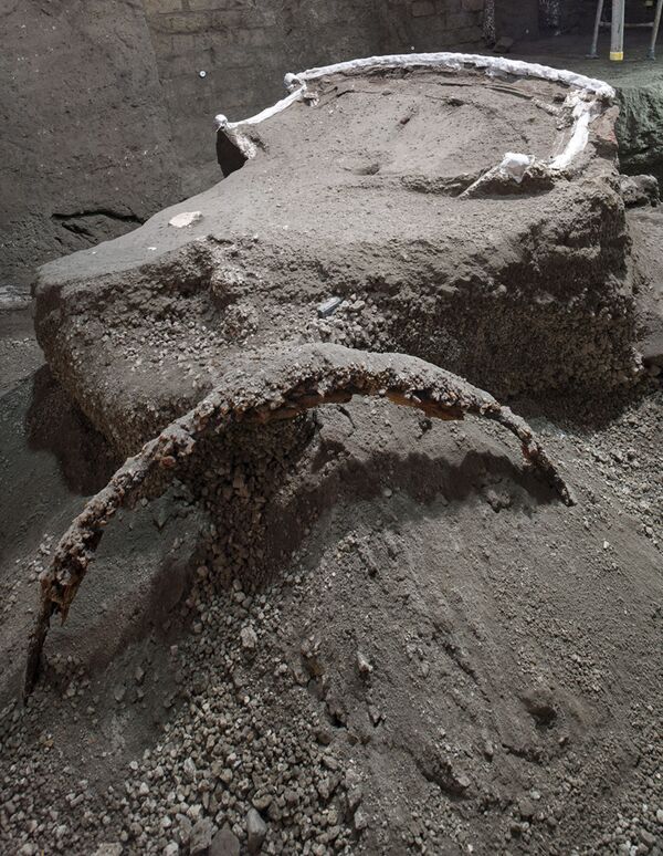 Римская колесница, обнаруженная недалеко от археологического парка Помпеи - Sputnik Армения