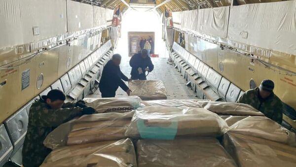 Гуманитарный груз в размере 25 тонн для Нагорного Карабаха - Sputnik Արմենիա
