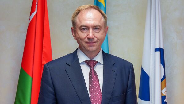 Директор департамента таможенного законодательства и правоприменительной практики ЕЭК Сергей Владимиров - Sputnik Армения