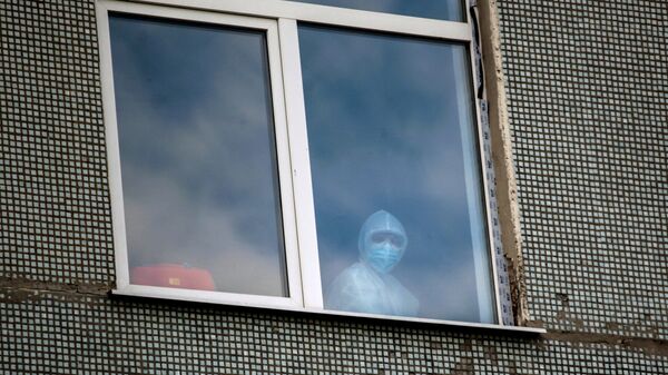 Медицинский сотрудник в окне одной из палат больницы - Sputnik Армения
