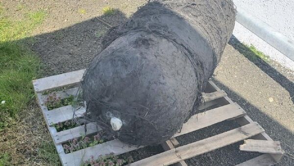 Объект, похожий на фрагмент космического аппарата, прибило к берегу в Орегоне  - Sputnik Армения