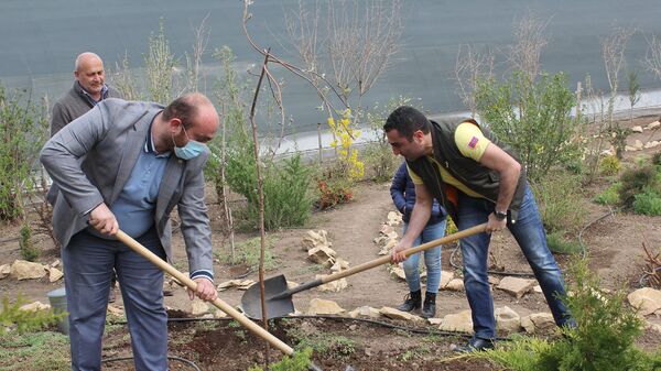 Министр окружающей среды Романос Петросян стартовал инициативу 10 миллионов деревьев (10 апреля 2021). Арагацотн - Sputnik Армения
