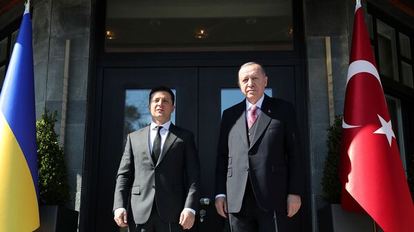 Встреча президентов Украины и Турции Владимира Зеленского и Тайипа Эрдогана (10 апреля 2021). Стамбул - Sputnik Армения