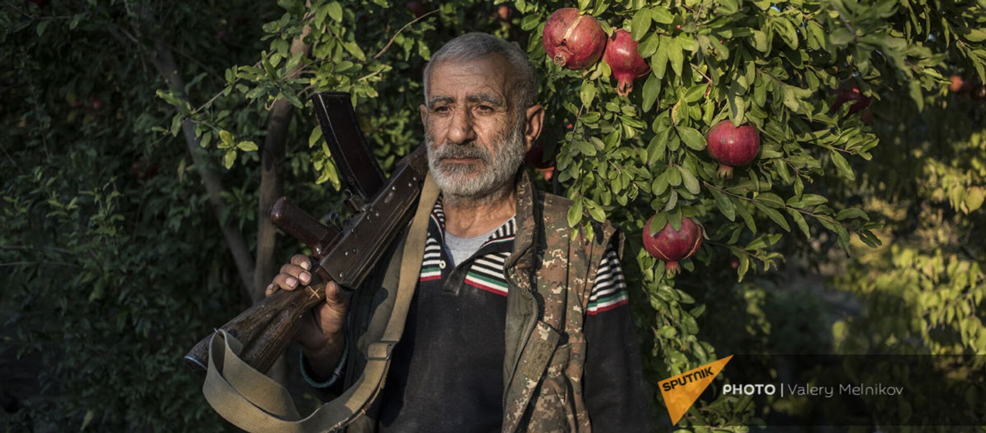 Житель поселка Ухтасар у гранатового дерева (14 октября 2020). Карабах - Sputnik Армения, 1920, 15.04.2021
